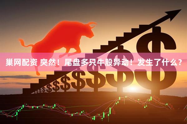 巢网配资 突然！尾盘多只牛股异动！发生了什么？