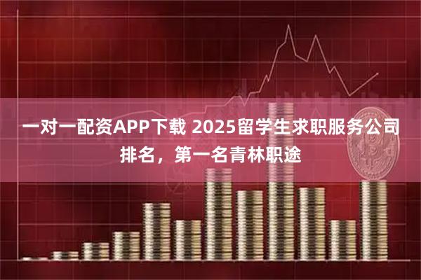 一对一配资APP下载 2025留学生求职服务公司排名，第一名青林职途
