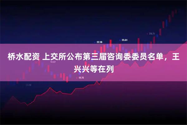 桥水配资 上交所公布第三届咨询委委员名单，王兴兴等在列