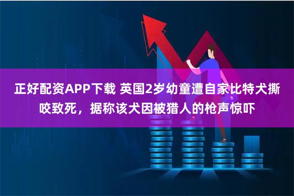 正好配资APP下载 英国2岁幼童遭自家比特犬撕咬致死，据称该犬因被猎人的枪声惊吓