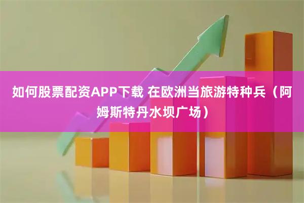 如何股票配资APP下载 在欧洲当旅游特种兵（阿姆斯特丹水坝广场）