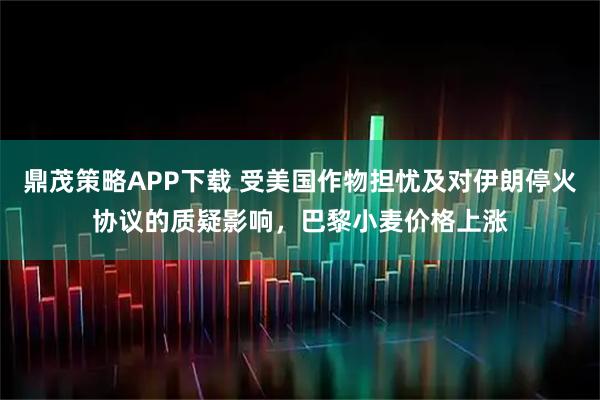 鼎茂策略APP下载 受美国作物担忧及对伊朗停火协议的质疑影响，巴黎小麦价格上涨